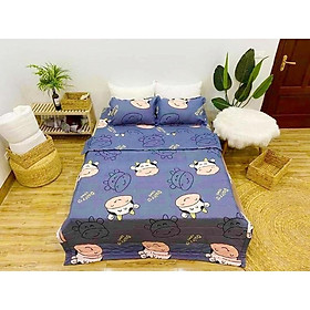 Mua Ga và 2 vỏ gối chất liệu cotton poly cao cấp giá tại xưởng (được chọn mẫu)