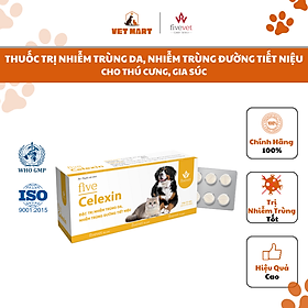 Thuốc Hỗ Trợ Trị Nhiễm Trùng Da, Đường Tiết Niệu Cho Thú Cưng - Five CELEXIN_Hộp 3 Vỉ x 10 Viên