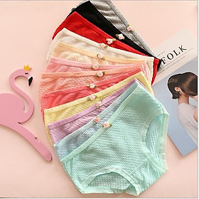 COMBO 10 QUẦN BÔNG THUN XỐP SIÊU XINH 1456