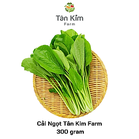 Cải Ngọt Thủy Canh Tân Kim Farm