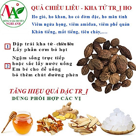 Mua Quả Kha Tử sấy khô trị ho gió  ho khan  ho có đờm  ho mãn tính hiệu quả