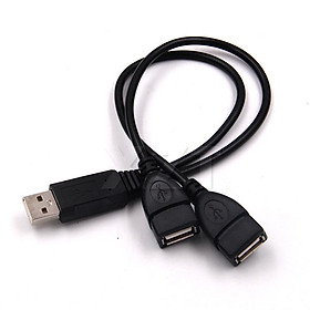 USB 2.0 A 1 đầu đực sang 2 đầu cái USB kép Bộ điều hợp nguồn trung tâm dữ liệu Bộ chia Y Bộ chia USB Cáp nguồn Dây cáp mở rộng