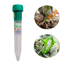 Mua Kích kie Duy spray xanh 1 ống