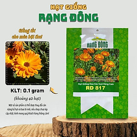 Hạt giống Hoa Cúc Susi Vàng Cam Rd 817 (0,1g~40 hạt) thích hợp trồng thảm - Hạt giống Rạng Đông