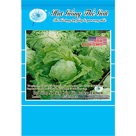 Mua 1500h Hạt Giống Rau Xà Lách - Cuộn Giòn IceBerg (Lactuca sativa)