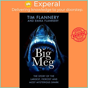 Sách - Big Meg - The Story of the Largest, Fiercest and Most Mysterious Shark by Tim Flannery (UK edition, hardcover)