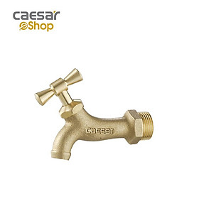 Mua Vòi Lạnh Gắn Tường - W035