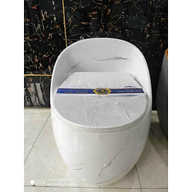 Mua Bồn cầu trứng tròn trắng có vân