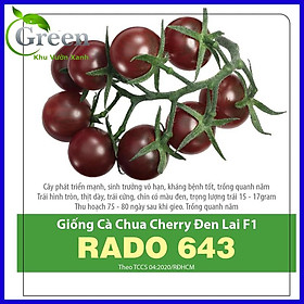 Mua Hạt Giống Cà Chua Các Loại (Bi Lùn Đỏ  Cà Chua Cherry  Thân Gỗ  Leo Giàn ...) Dễ Trồng  Nảy Mầm Tốt