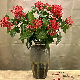 Mua Lọ hoa gốm Bát Tràng decor cao cấp 30 cm - Bình hoa decor trang trí cỡ trung - Men nâu bóng sang trọng