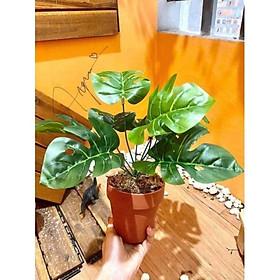 Mua Cụm cây giả 9 lá decor dài 30cm