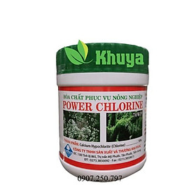 Hóa chất phục vụ nông nghiệp POWER CHLORINE hủ 300gr Tẩy Rong Rêu - Mảng Bám