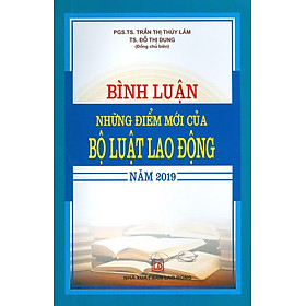 Bình Luận Những Điểm Mới  Của Bộ Luật Lao Động Năm 2019