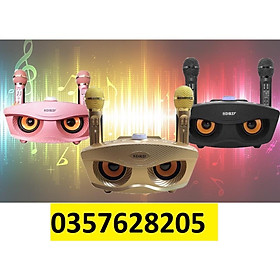 Mua Loa Karaoke Bluetooth SD306