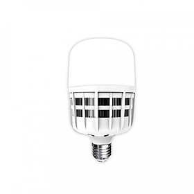 Mua Đèn LED Bulb Công Suất Lớn Điện Quang ĐQ LEDBU09 (Daylight  Nguồn Tích Hợp)