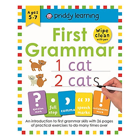 First Grammar: Wipe Clean Workbooks