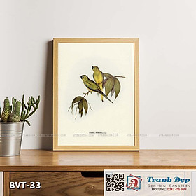 Mua Tranh canvas vintage - Vẹt đá (Euphema petrophila) - BVT-33