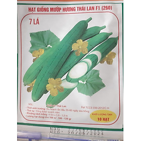 Hạt giống mướp hương Thái F1