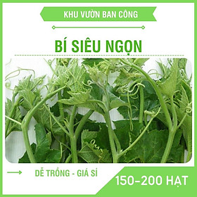 Hạt Giống Rau Bí Siêu Ngọn Năng Xuất Cao, Dễ Trồng Nhanh Thu Hoạch 100-200 Hạt - Khu Vườn Ban Công