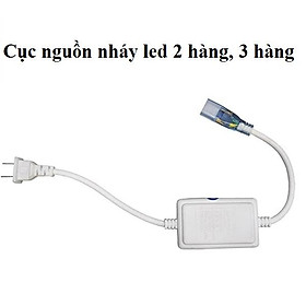 Mua Dây Đèn Led Nhấp Nháy Nhiều Màu Trang Trí Cuốn Cây  Ngoài Đường  Ngoài Trời