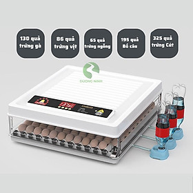 Máy ấp trứng gà tự động mini đảo trứng thay nước DN63