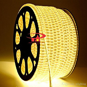 Mua Đèn led dây 2835 cuộn 100m 220v