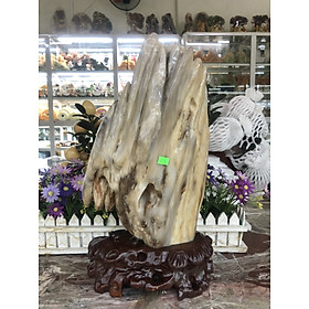 Mua Trụ gỗ hóa thạch phong thủy