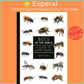 Sách - Bees of the World - A Guide to Every Family by Laurence Packer (UK edition, hardcover)