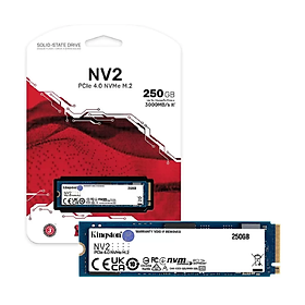 Mua Ổ cứng SSD Kingston 250GB NVMe M.2 2280 PCIe - Hàng chính hãng Viết Sơn phân phối