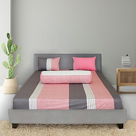Bộ drap gối cotton phối màu Hometex
