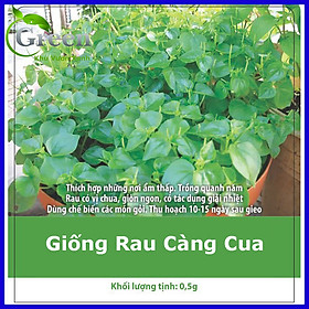 Hạt Giống Rau Càng Cua