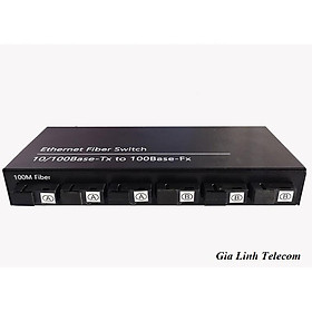 Bộ chuyển đổi quang điện 6 Quang 2 LAN - Converter quang 100Mbps