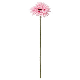 IKEA SMYCKA Hoa nhân tạo hoa hồng Gerbera 50 cm Artificial flower Gerbera pink 50 cm