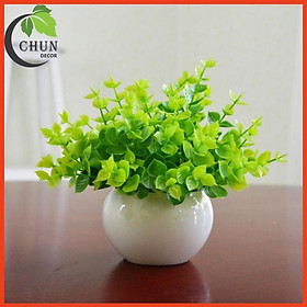 Mua Bình Hoa Mini Cao 16cm Trang Trí Bàn Trà  Kệ Tủ  Bàn Làm Việc  Giá Sách Nhiều Mẫu Xinh Xắn