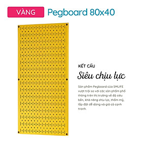 Mua Bảng Pegboard Kim Loại & Phụ Kiện Móc Treo Dụng Cụ Cơ Khí Chuyên Nghiệp  Thương Hiệu SMLIFE