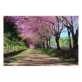 Mua Tranh Dán Tường Phong Cảnh 3D LN0127 - 150 x 100 cm