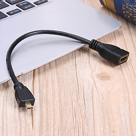 Cáp KếT NốI Micro HDMI Sang HDMI 17cm
