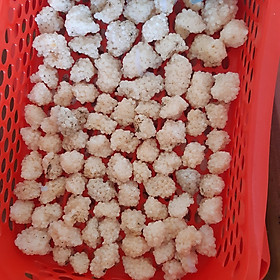 Mua trứng ốc bươu đen  ốc nhồi 10 ổ tặng 3