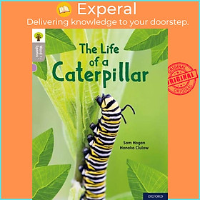 Sách - Oxford Reading Tree Word Sparks: Level 1: The Life of a Caterpillar by Hanako Clulow (UK edition, paperback)