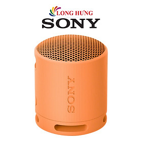 Loa Bluetooth Sony SRS-XB100 - Hàng chính hãng