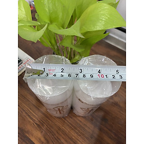 Mua Đèn cầy công giáo 10 15 20