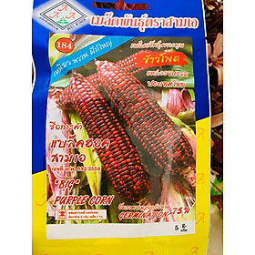 Mua Hạt giống ngô nếp tím  ngô mật ngọt Thái Lan  dẻo  ngọt  trái to