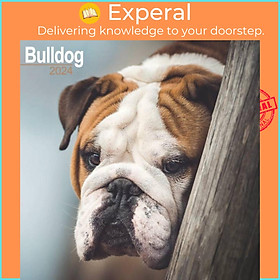 Sách - Bulldog Calendar 2024  Square Dog Breed Wall Calendar - 16 Month by  (UK edition, paperback)