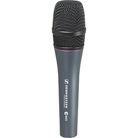 Mua Micro Sennheiser có dây E865S – Hàng Chính Hãng