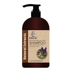Dầu gội dược liệu sạch trị gàu Ecoco với chiết xuất tự nhiên, oải hương, ô liu