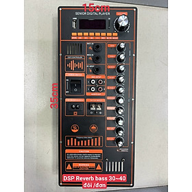 Mua Bo mạch Loa Kéo 2 ngõ ra loa - kích thước 15cm x 35cm- dùng được cho lao 20-30 đôi- 40 đơn