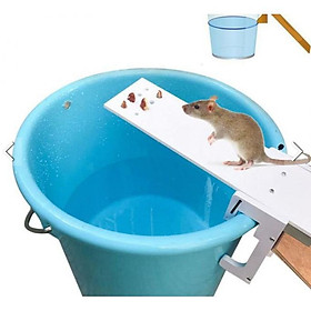 Mua BẪY CHUỘT SIÊU ĐƠN GIẢN