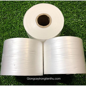 Mua 3 CUỘN GIẤY  NILON GHÉP CÂY GIỐNG TỰ HUỶ 8 x 10cm