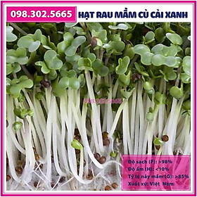 Hạt rau mầm rau Củ cải Trắng - gói 100g - Hạt chất lượng tốt, nảy mầm đều