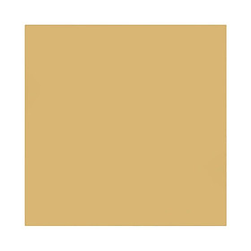PEI Sheet 14" x 14" 350mm x 350mm 0.5mm Thick Polyetherimide for  2.4